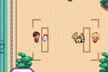 宝可梦迷之规则手游下载(Pokémon