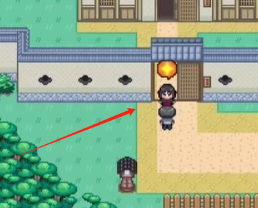宝可梦迷之规则手游下载(Pokémon