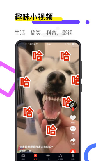 火萤壁纸