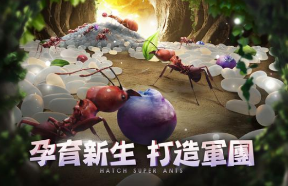 小小蚁国37客户端下载安装 小小蚁国37客户端下载安装