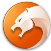 猎豹浏览器手机版下载-猎豹浏览器最新版下载2024