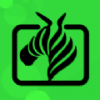 小马视频软件下载-小马视频app最新版本下载