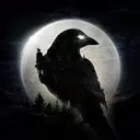 夜鸦（night crows）国际服游戏下载-夜鸦最新版官网版下载地址