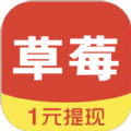 草莓看点赚钱版