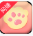 猫爪短视频