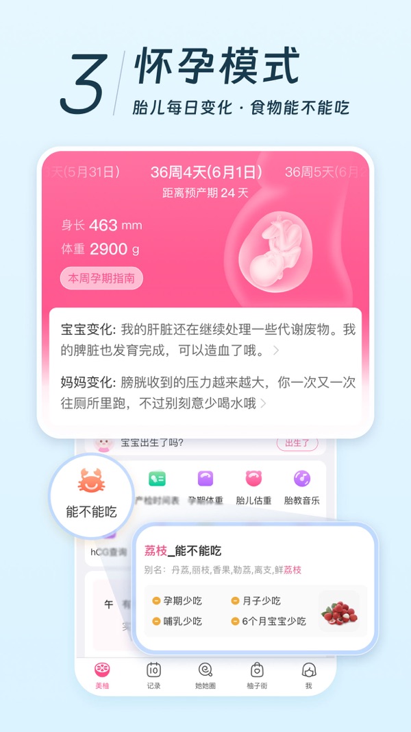 美柚截图3