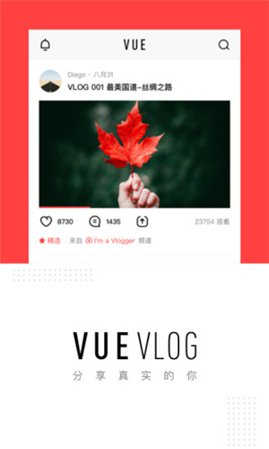 vuevlog下载最新版截图3