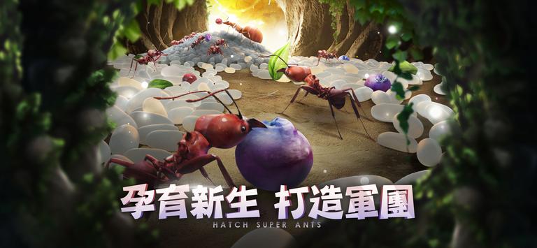 小小蚁国37客户端下载安装截图3