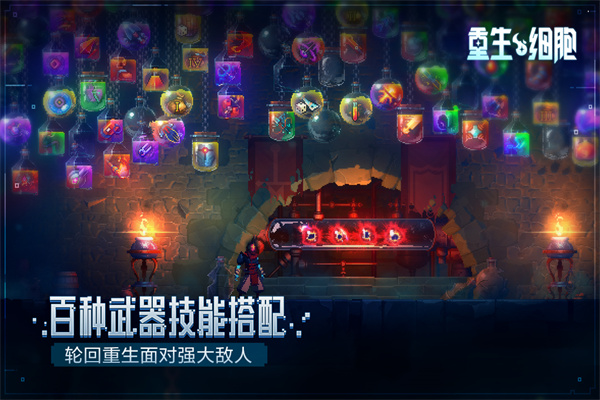 重生细胞截图2