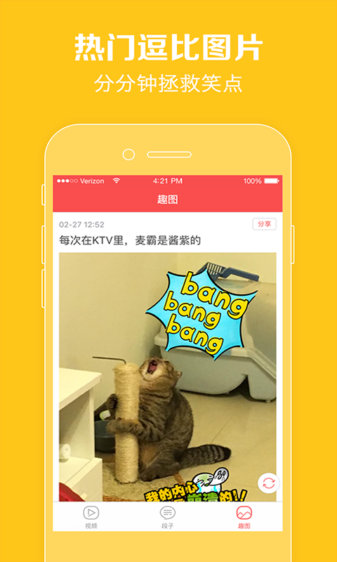 猫咪短视频截图1