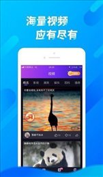 cici短视频APP下载截图0