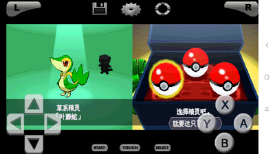 口袋妖怪黑白截图0
