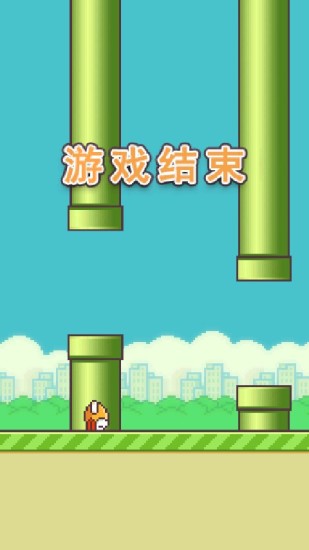 飞扬的小鸟截图2