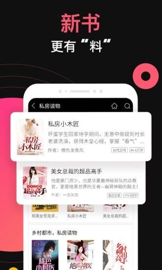 九桃小说截图1