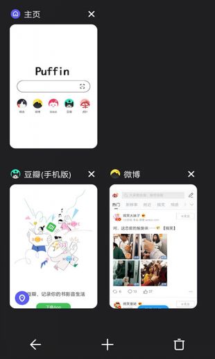 puffin浏览器极速版截图2