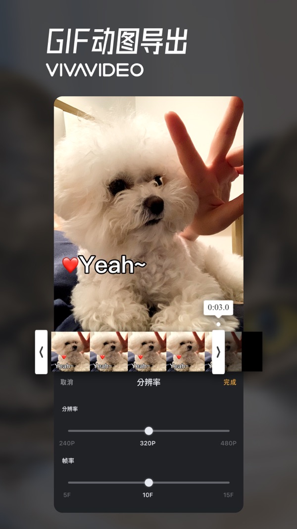 小影视频编辑最新下载截图7