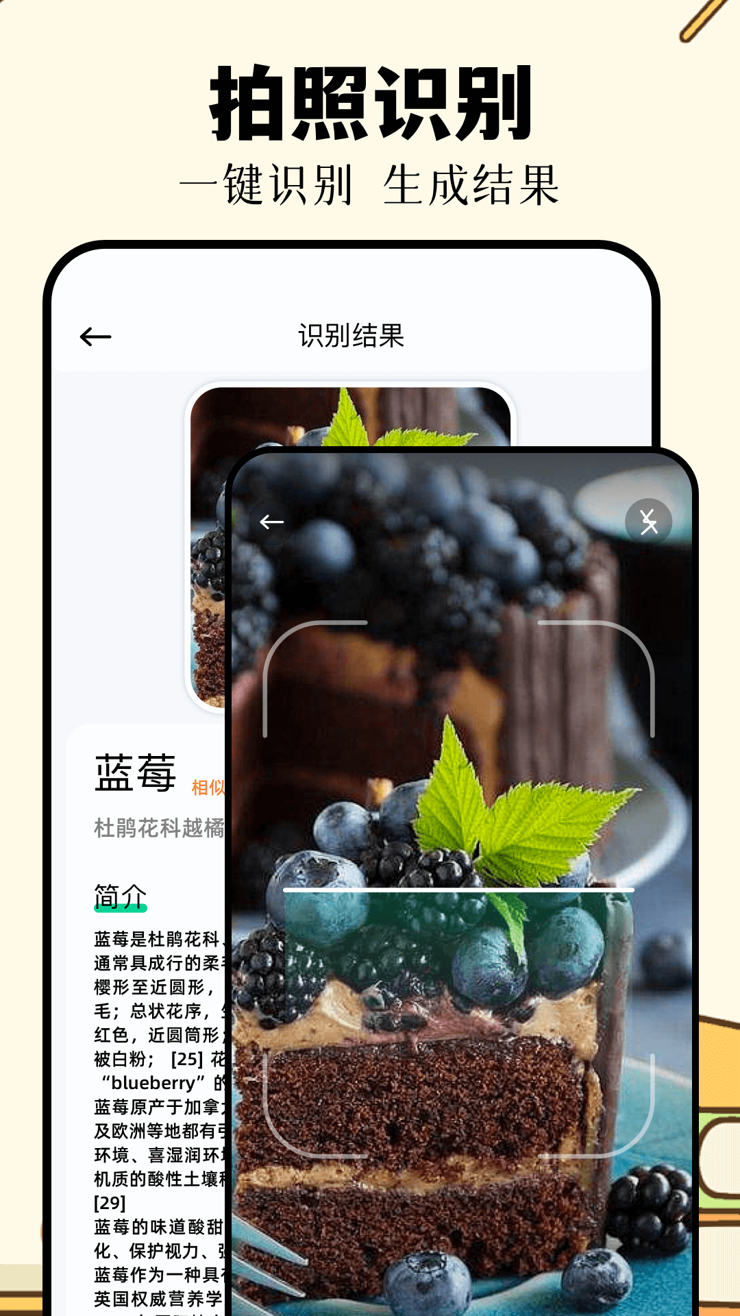 识万物扫一扫截图2