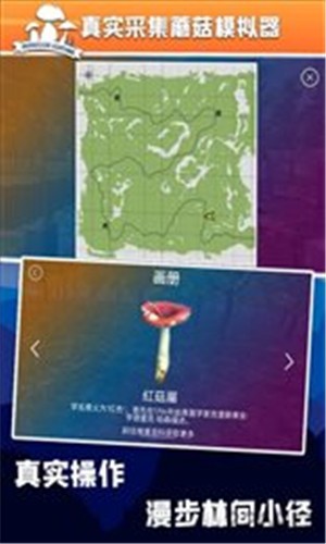 真实采集蘑菇模拟器最新版截图2