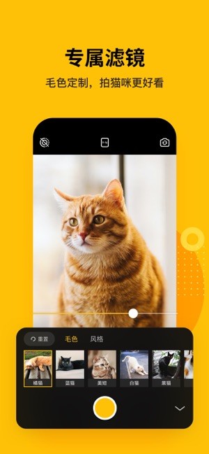 爪叽最新版截图2