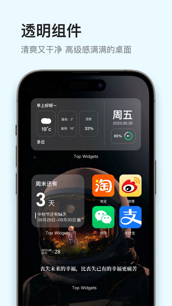 Top Widgets截图1