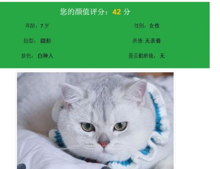 颜值测试截图0