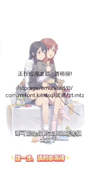 小米主题安装器pro截图0