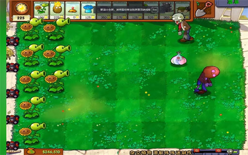 植物大战僵尸杂交版2.0.88截图3