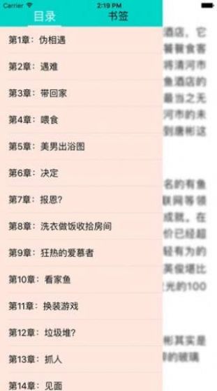 欣悦小说当代爱情截图2