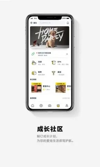 它福最新版截图2