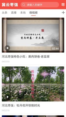 冀云枣强截图0