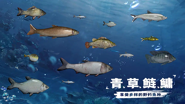天天钓鱼下载正版安装截图1
