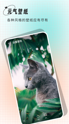 清壁纸截图0