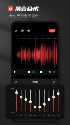audiolab专业版截图1