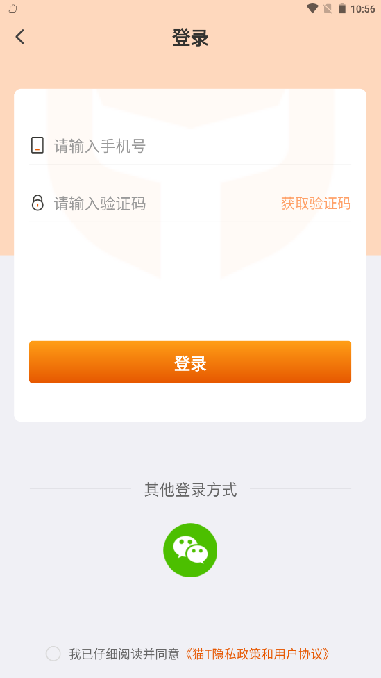猫T截图0