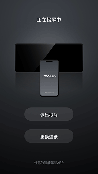 风神车联最新版本截图1