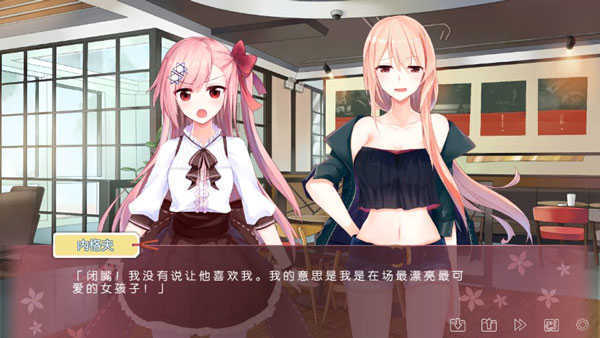 IRIS截图1