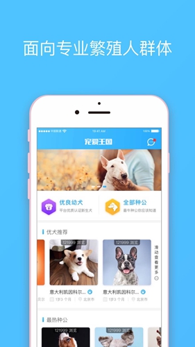 宠爱王国官网版截图1