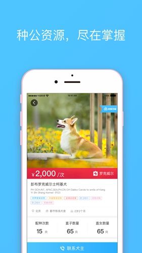 宠爱王国官网版截图3