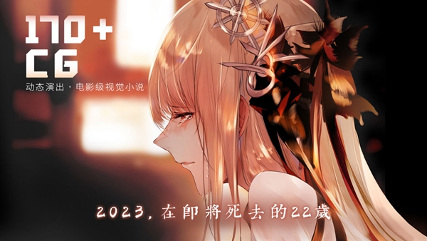 孟德大小姐与自爆少年截图0
